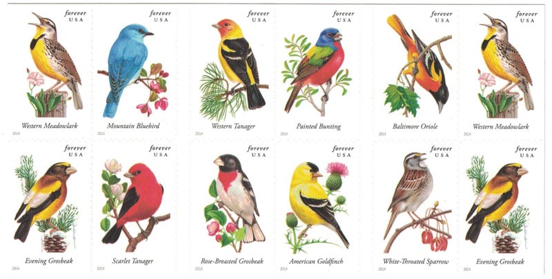 USPS Songbirds Forever Stamps - Booklet of 20 Postage Stamps - Image 1